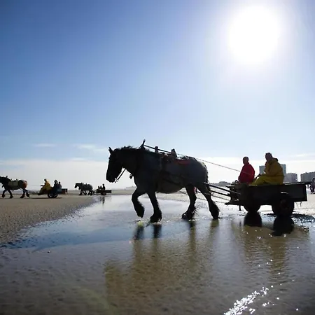 Appartement In With Views