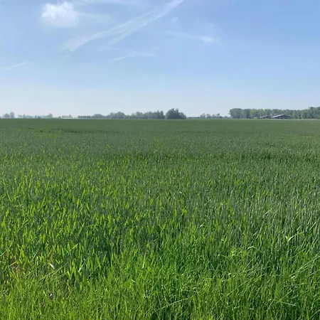 Appartement In With Views *