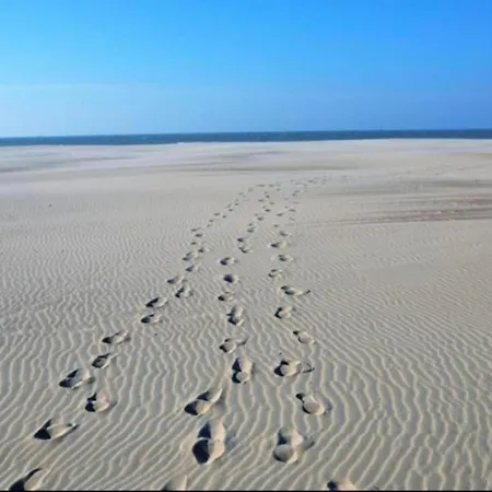 In With Views Nieuwpoort