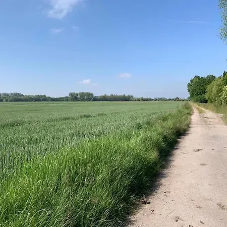 In With Views * Nieuport