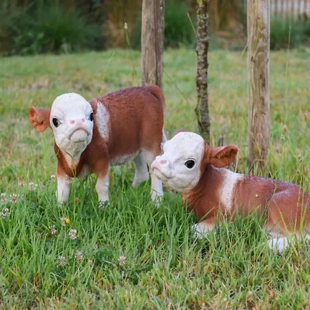 In With Views Appartement Nieuport