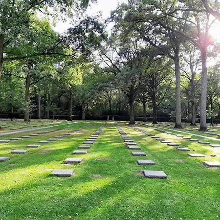 In With Views * Nieuport