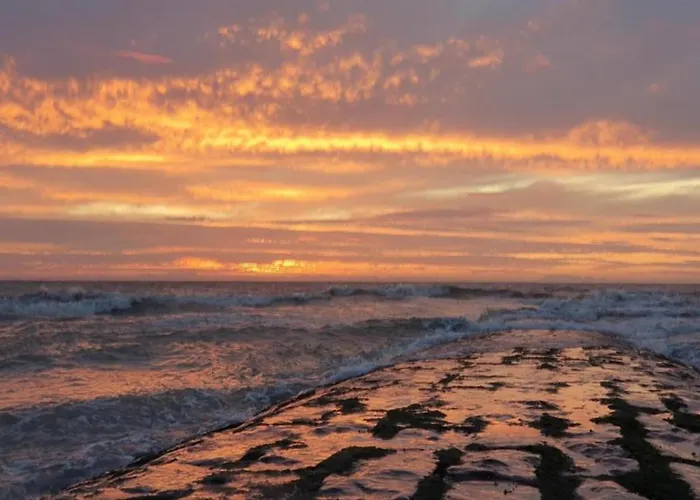 Apartman In With Views