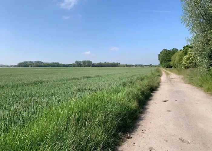 In With Views * Nieuwpoort